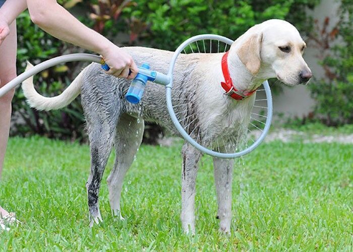 Fully automatic 360 degree pet supplies bath ring - Top10Discount