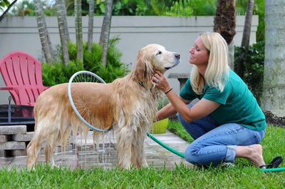 Fully automatic 360 degree pet supplies bath ring - Top10Discount