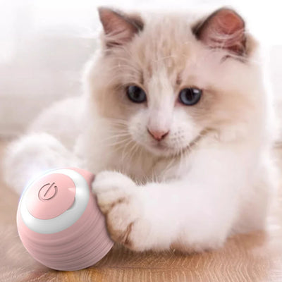 Interactive Cat Toy Ball 360° Automatic Rotating Rolling Ball Accessories for Cats Toys With USB Charging Function Pet Things - Top10Discount